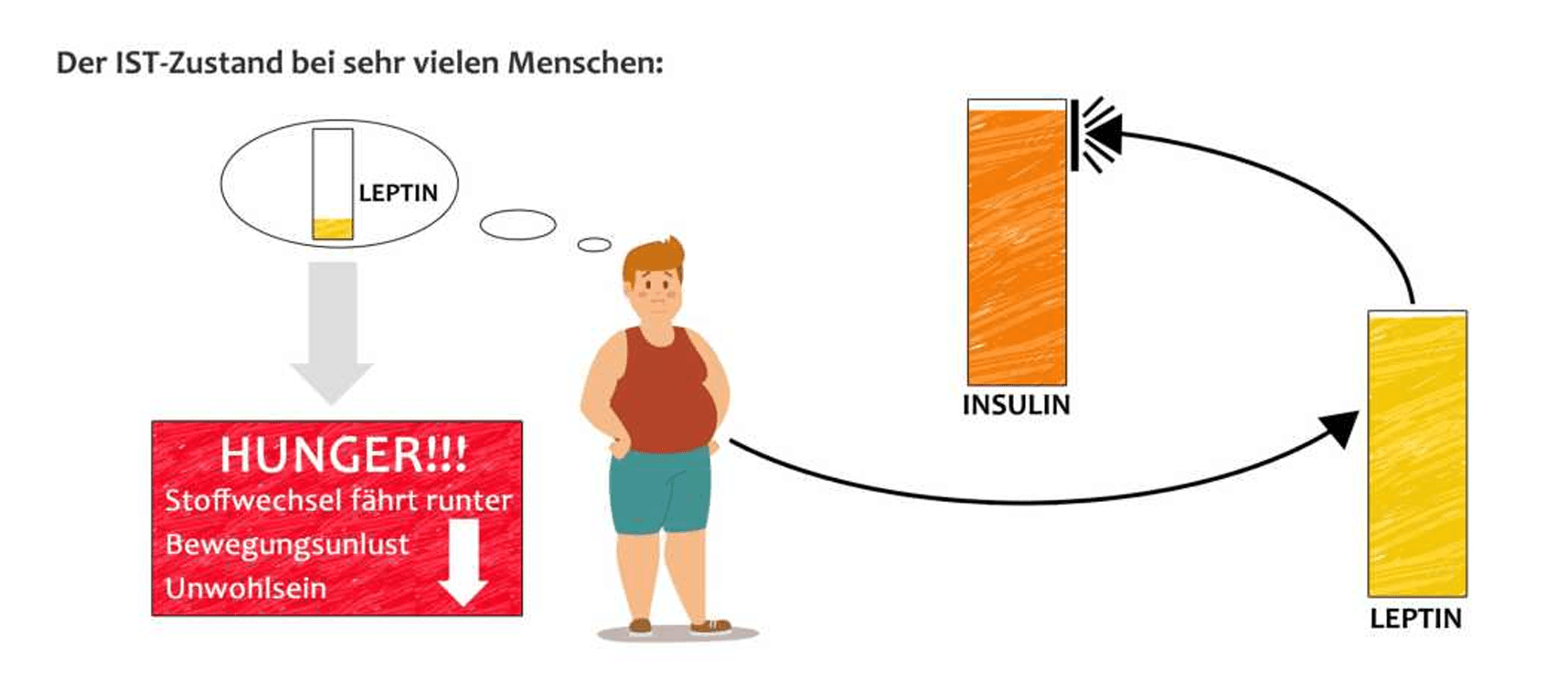 IST-Zustand: niedriges Leptin → Hunger, Stoffwechsel runter