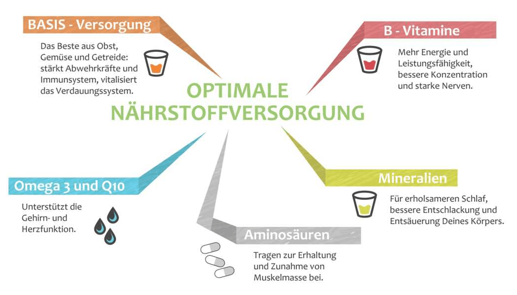 Optimale Nährstoffversorgung — fünf Bausteine: BASIS, B-Vitamine, Mineralien, Aminosäuren, Omega 3 + Q10
